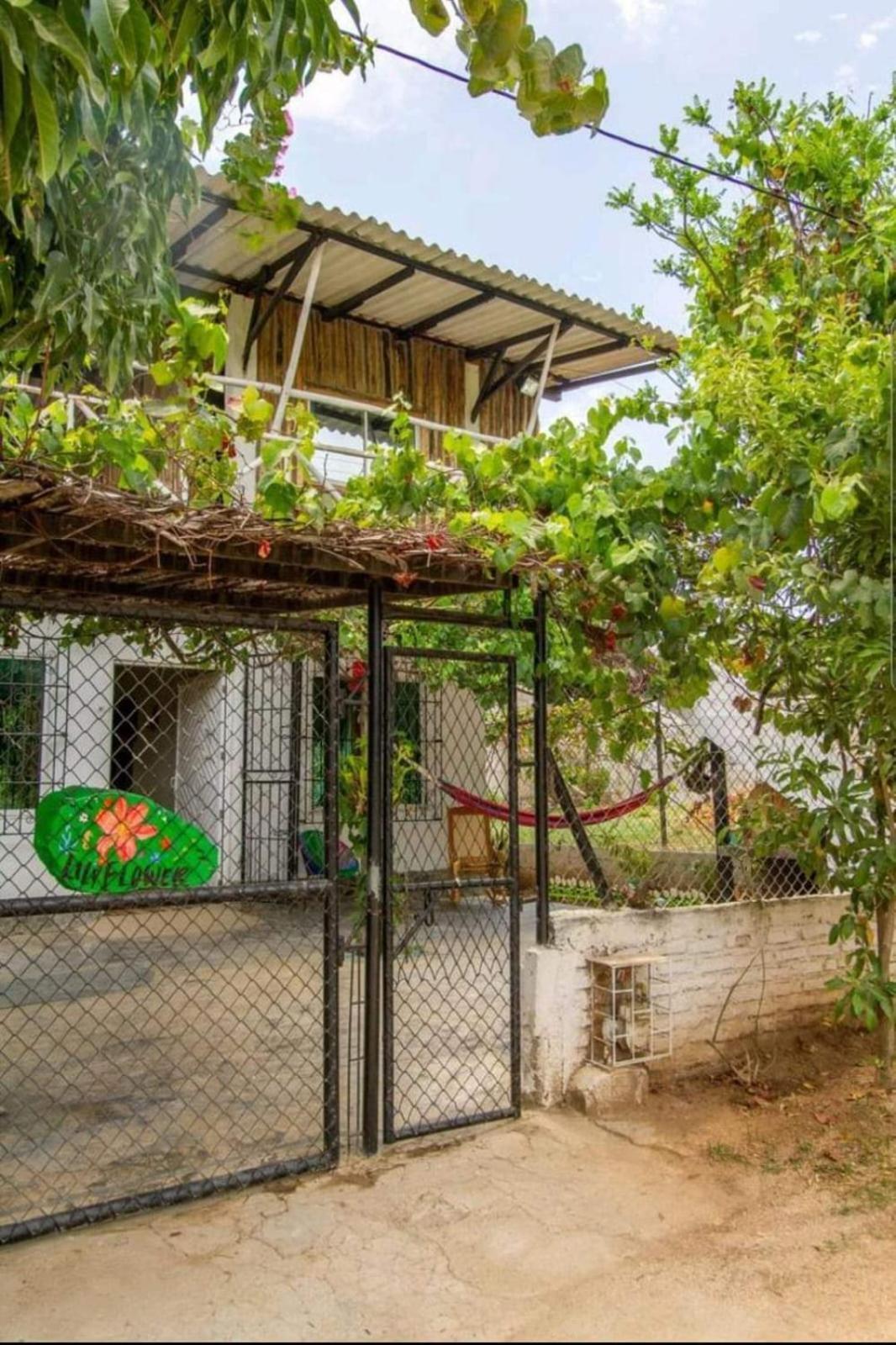 Casa Lily Flower Playa Dormida Εξωτερικό φωτογραφία